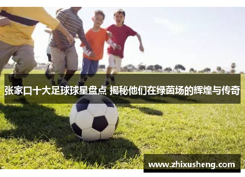 张家口十大足球球星盘点 揭秘他们在绿茵场的辉煌与传奇