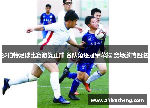罗伯特足球比赛激战正酣 各队角逐冠军荣耀 赛场激情四溢