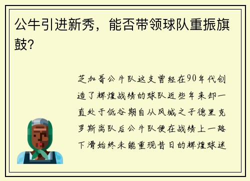 公牛引进新秀，能否带领球队重振旗鼓？